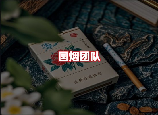 国烟团队